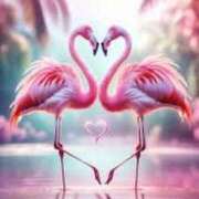 ヒメ日記 2025/05/25 06:00 投稿 あゆ 奥鉄オクテツ東京店（デリヘル市場）