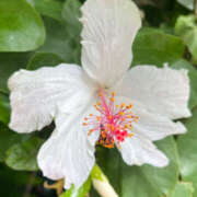 ヒメ日記 2025/09/05 21:20 投稿 あゆ 奥鉄オクテツ東京店（デリヘル市場）