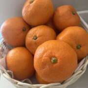 ヒメ日記 2026/01/09 07:50 投稿 あゆ 奥鉄オクテツ東京店（デリヘル市場）