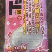 ヒメ日記 2026/02/12 12:05 投稿 あゆ 奥鉄オクテツ東京店（デリヘル市場）