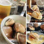 ヒメ日記 2026/02/22 20:00 投稿 あゆ 奥鉄オクテツ東京店（デリヘル市場）