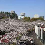 ヒメ日記 2026/03/31 10:25 投稿 あゆ 奥鉄オクテツ東京店（デリヘル市場）