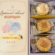 ヒメ日記 2026/04/03 14:10 投稿 あゆ 奥鉄オクテツ東京店（デリヘル市場）