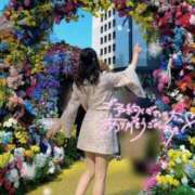 ヒメ日記 2026/03/27 22:20 投稿 ありさ Sakura Spa