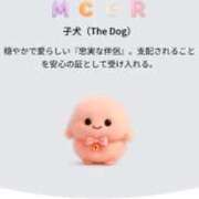 ヒメ日記 2026/01/27 14:28 投稿 かりん♪ 水色りぼん