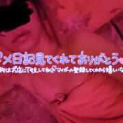 ヒメ日記 2024/03/27 17:15 投稿 さいか 北九州人妻倶楽部（三十路、四十路、五十路）