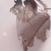 ヒメ日記 2025/05/04 18:05 投稿 さいか 北九州人妻倶楽部（三十路、四十路、五十路）