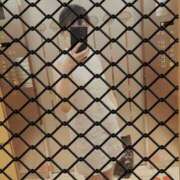 ヒメ日記 2025/06/19 15:41 投稿 さいか 北九州人妻倶楽部（三十路、四十路、五十路）