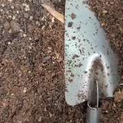 ヒメ日記 2025/06/23 00:05 投稿 さいか 北九州人妻倶楽部（三十路、四十路、五十路）