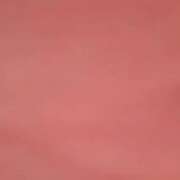 ヒメ日記 2025/07/16 03:02 投稿 さいか 北九州人妻倶楽部（三十路、四十路、五十路）