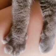 ヒメ日記 2025/07/26 12:01 投稿 さいか 北九州人妻倶楽部（三十路、四十路、五十路）