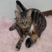 ヒメ日記 2025/07/26 18:04 投稿 さいか 北九州人妻倶楽部（三十路、四十路、五十路）