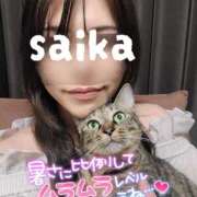 ヒメ日記 2025/08/15 19:01 投稿 さいか 北九州人妻倶楽部（三十路、四十路、五十路）