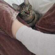 さいか この靴下優勝 北九州人妻倶楽部（三十路、四十路、五十路）