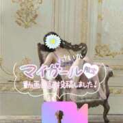 ヒメ日記 2025/12/28 12:04 投稿 さいか 北九州人妻倶楽部（三十路、四十路、五十路）