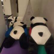 ヒメ日記 2026/02/16 11:29 投稿 さいか 北九州人妻倶楽部（三十路、四十路、五十路）