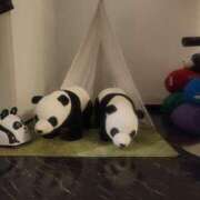 ヒメ日記 2026/02/16 20:56 投稿 さいか 北九州人妻倶楽部（三十路、四十路、五十路）