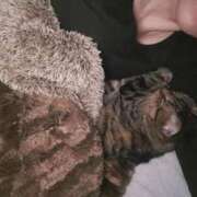 ヒメ日記 2026/04/24 12:02 投稿 さいか 北九州人妻倶楽部（三十路、四十路、五十路）