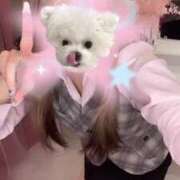 ヒメ日記 2025/02/05 18:51 投稿 ななchan AZUL本庄