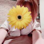 ヒメ日記 2026/02/06 02:11 投稿 ひめか OLIVE  SPA(広島)