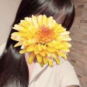 ヒメ日記 2025/07/29 14:42 投稿 あい OLIVE  SPA(広島)