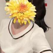 ヒメ日記 2026/02/03 16:27 投稿 あい OLIVE  SPA(広島)