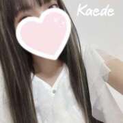 ヒメ日記 2025/03/14 21:39 投稿 かえで True Love