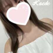 ヒメ日記 2025/11/14 19:47 投稿 かえで True Love