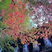 ヒメ日記 2024/12/15 10:51 投稿 安田すず 恋する奥さん 西中島店