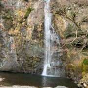 ヒメ日記 2025/01/15 10:18 投稿 安田すず 恋する奥さん 西中島店