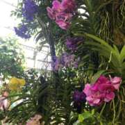 ヒメ日記 2025/02/01 22:03 投稿 安田すず 恋する奥さん 西中島店