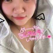 ヒメ日記 2025/04/29 11:50 投稿 つむぎ 奥様特急新潟店