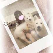 ヒメ日記 2025/02/27 22:13 投稿 みう 手コキガールズコレクション