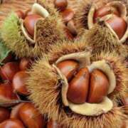 ヒメ日記 2025/12/03 15:39 投稿 さなえ 熟女総本店 堺東店