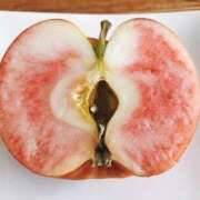 ヒメ日記 2026/04/02 21:19 投稿 さなえ 熟女総本店 堺東店