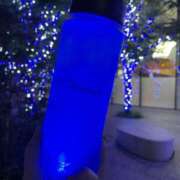 ヒメ日記 2024/12/15 11:35 投稿 るい プールサイド新橋店