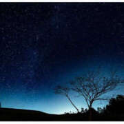 ヒメ日記 2025/03/09 18:14 投稿 るい プールサイド新橋店