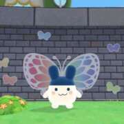 ヒメ日記 2025/12/03 13:41 投稿 るい プールサイド新橋店