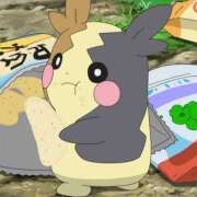 ヒメ日記 2026/03/25 13:41 投稿 るい プールサイド新橋店