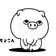 ヒメ日記 2025/04/01 00:00 投稿 みつき なでし娘