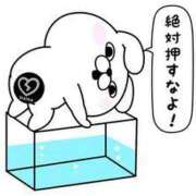 ヒメ日記 2025/05/09 17:32 投稿 みつき なでし娘