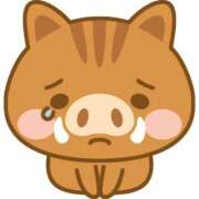 ヒメ日記 2025/05/16 17:16 投稿 みつき なでし娘