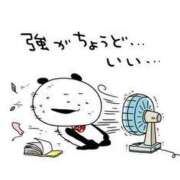 ヒメ日記 2025/08/01 17:24 投稿 みつき なでし娘