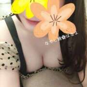 ヒメ日記 2024/12/09 19:08 投稿 はなよ なでし娘