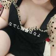 ヒメ日記 2025/01/01 19:40 投稿 はなよ なでし娘