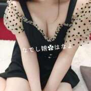 ヒメ日記 2025/01/13 00:17 投稿 はなよ なでし娘