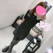 ふう ( ˶˙ᵕ˙˶ )☀️ なでし娘