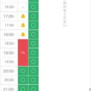 ヒメ日記 2024/11/16 16:51 投稿 さな なでし娘