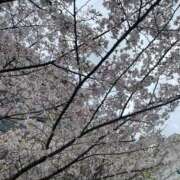 ヒメ日記 2026/04/06 10:28 投稿 のあ 池袋おかあさん