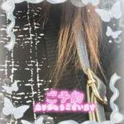 ヒメ日記 2025/03/31 18:45 投稿 かえで 待ちナビ